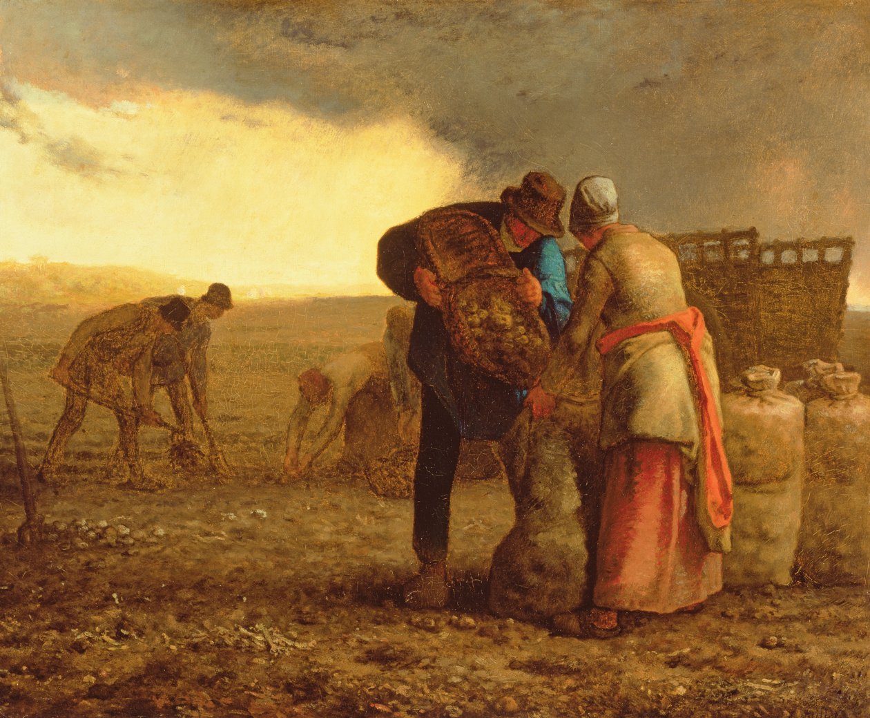 Żniwa ziemniaków, 1855 autorstwa Jean Francois Millet
