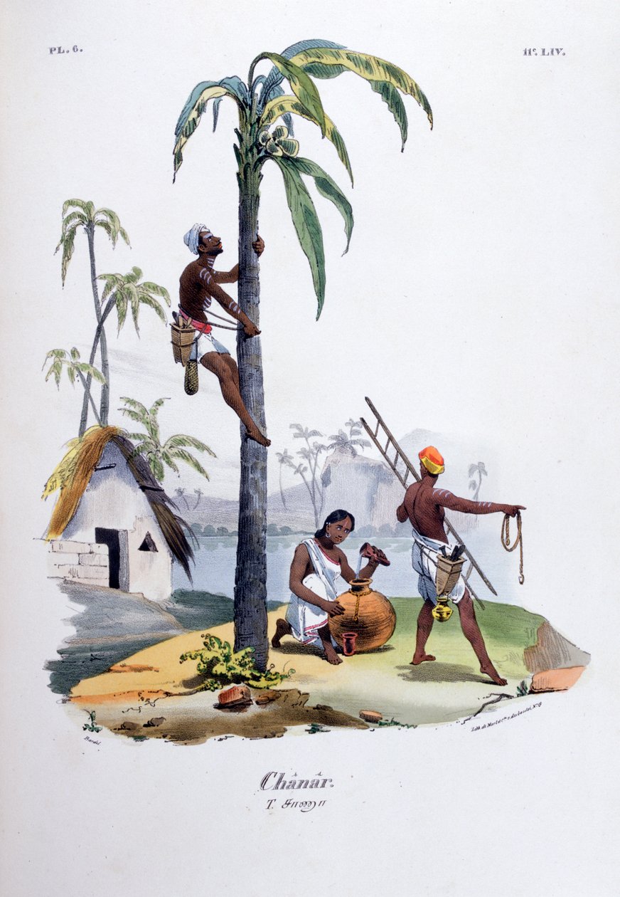 Chanar, 1828 autorstwa Jean Henri Marlet