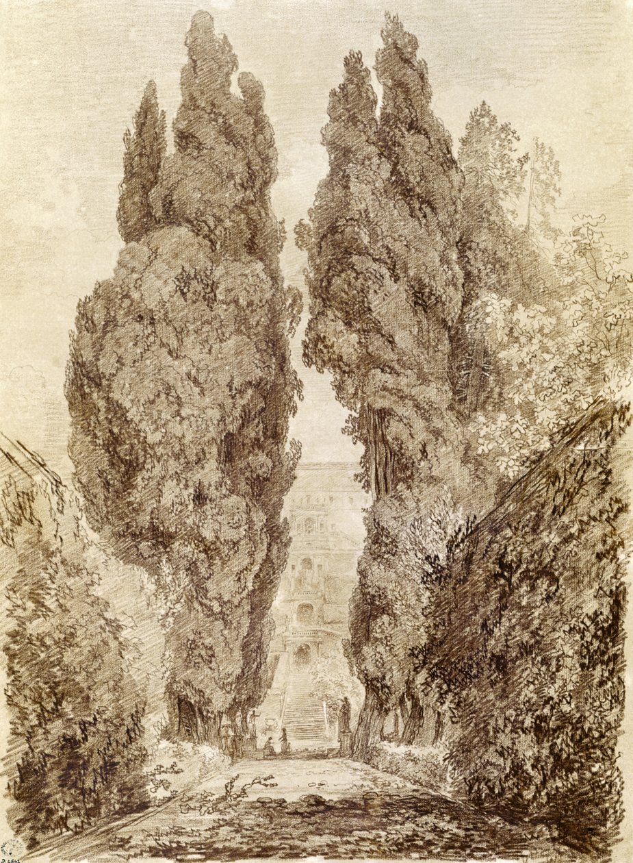 Duże cyprysy w Villa d