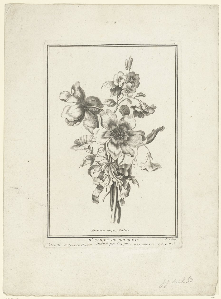 Bukiet anemonów i powój Zawilce proste, Volubilis (tytuł na obiekcie) IIe Cahier de Bouquets (tytuł serii) autorstwa Jean Jacques Avril (I)
