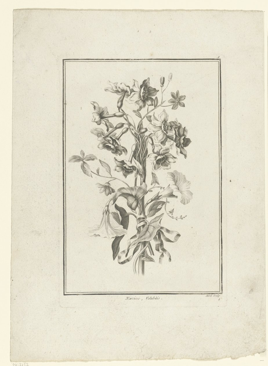 Bukiet narcyzów i powój Narcyz, Volubilis (tytuł na obiekcie) IIe Cahier de Bouquets (tytuł serii) autorstwa Jean Jacques Avril (I)