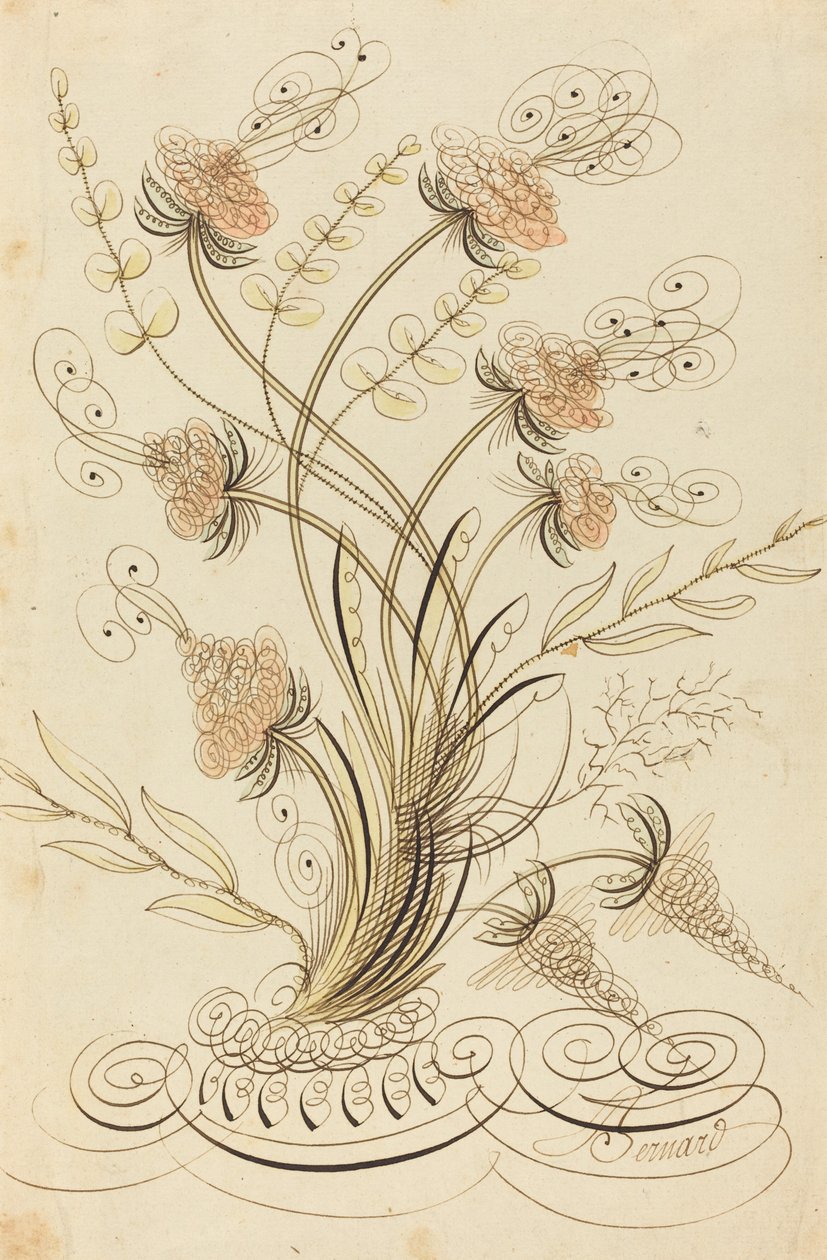 Kaligraficzne Kwiaty autorstwa Jean Joseph Bernard called Bernard de Paris