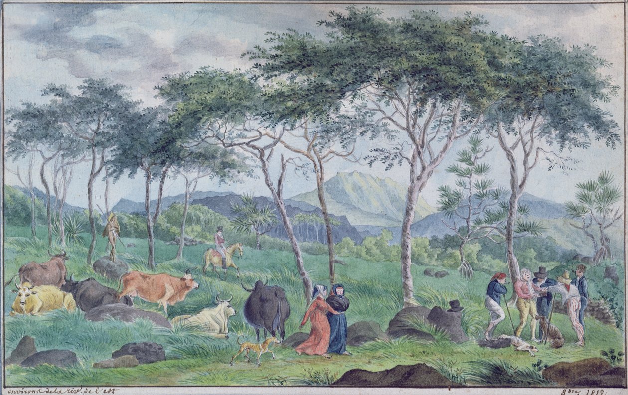 Stado bydła z pasterzami w pobliżu rzeki na wschód od Ile de la Reunion, październik 1812 autorstwa Jean Joseph Patu de Rosemont