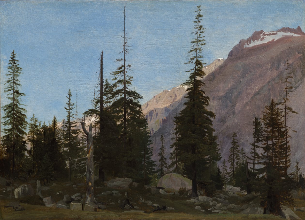 Krajobraz alpejski: The Handegg, Szwajcaria autorstwa Jean Leon Gerome