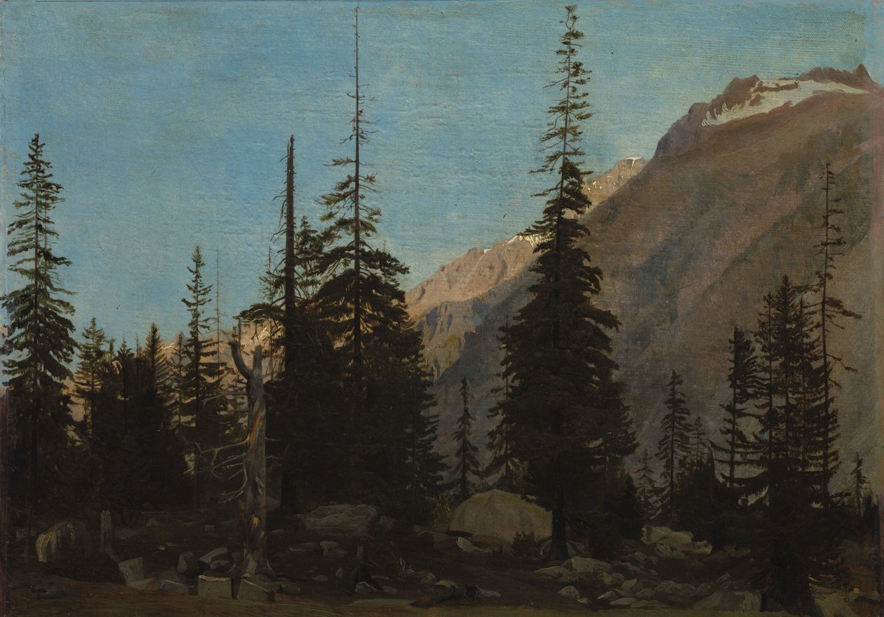 Alpejski krajobraz: Handegg, Szwajcaria autorstwa Jean Leon Gerome