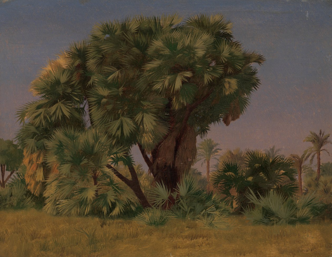 Studium palm, prawdopodobnie 1868 r. autorstwa Jean Leon Gerome