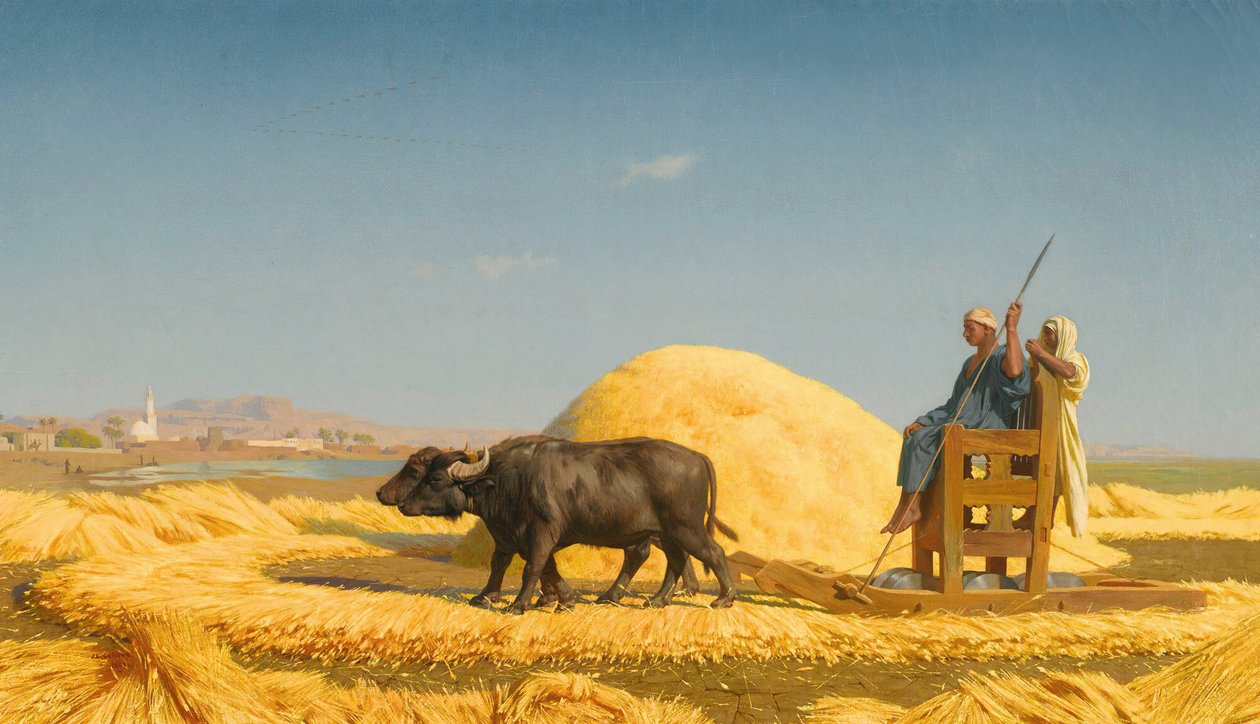 Młocarnie zboża, Egipt autorstwa Jean Leon Gerome