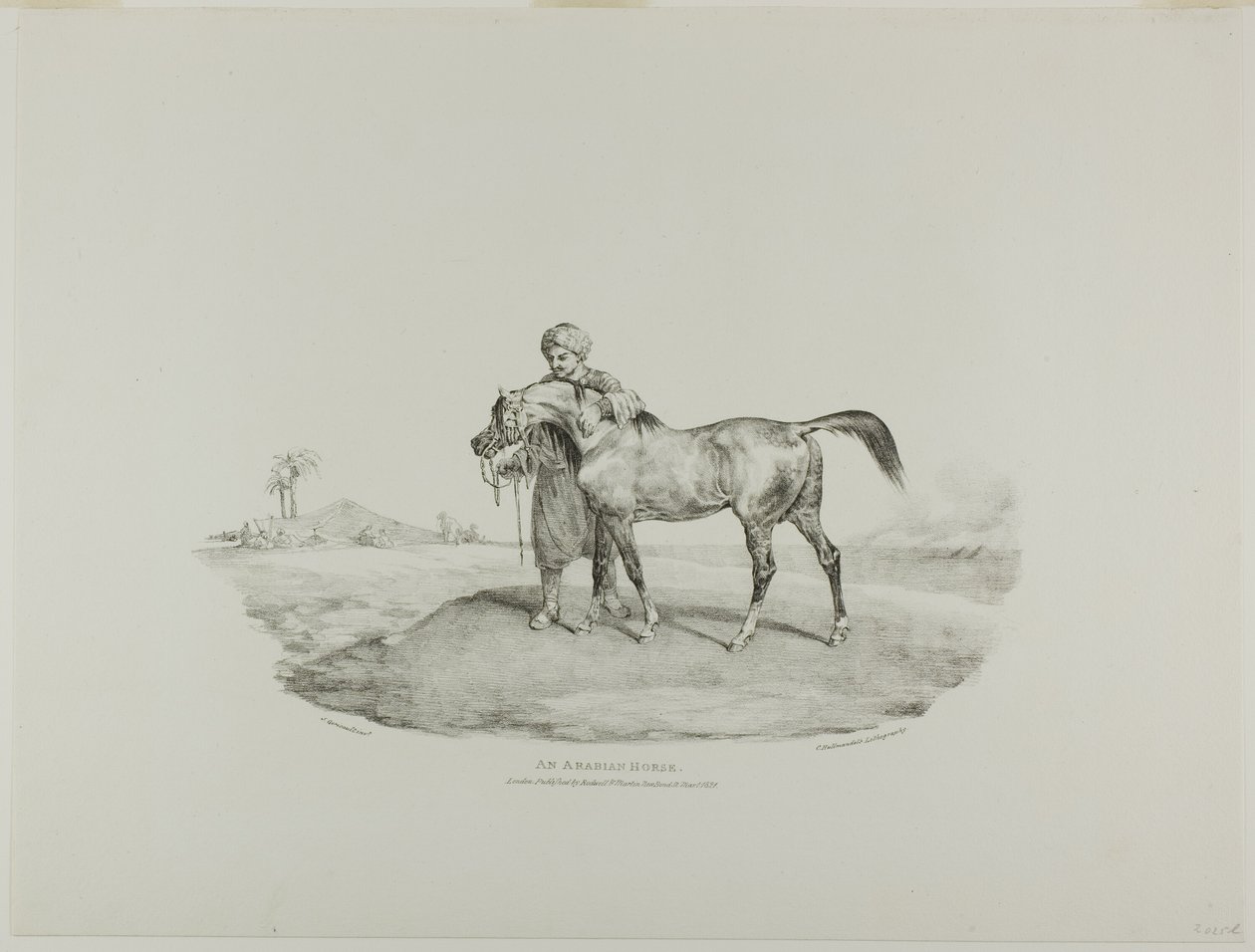 Koń arabski, talerz 8 z Różne tematy narysowane z życia i na kamieniu (The English Suite) autorstwa Jean Louis André Théodore Géricault