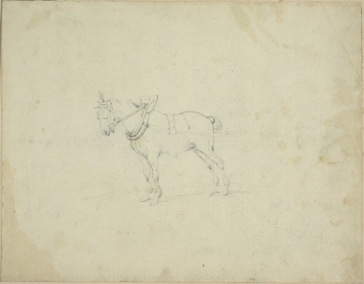 Koń pociągowy autorstwa Jean Louis André Théodore Géricault