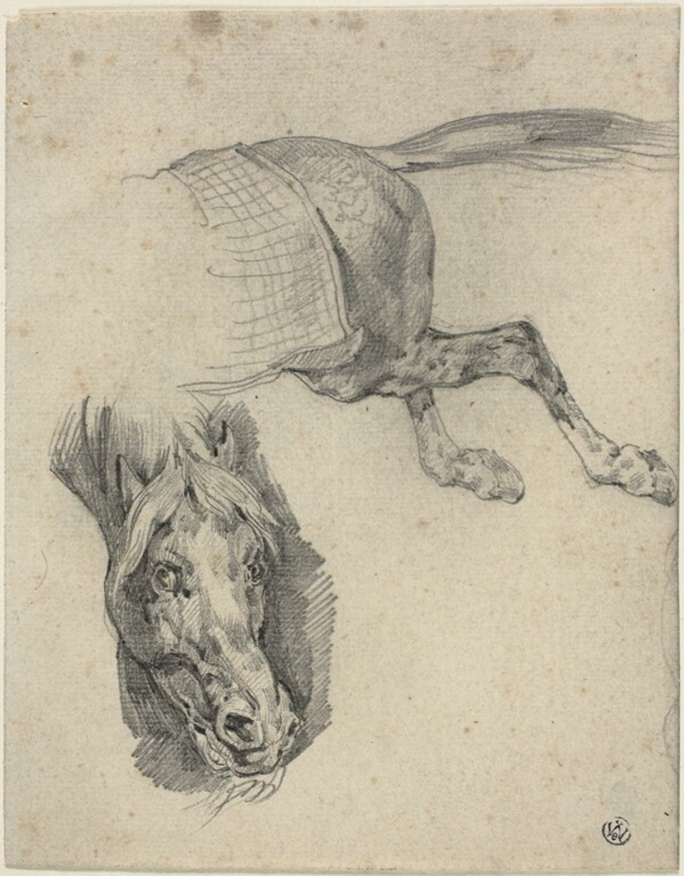 Głowa i zad konia wyścigowego autorstwa Jean Louis André Théodore Géricault