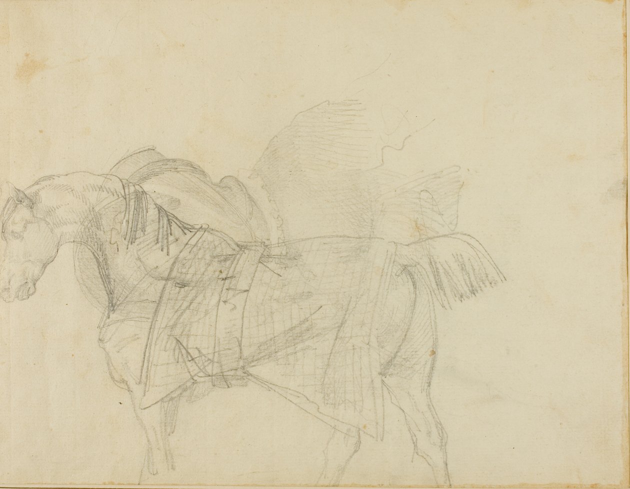 Koń noszący koc autorstwa Jean Louis André Théodore Géricault