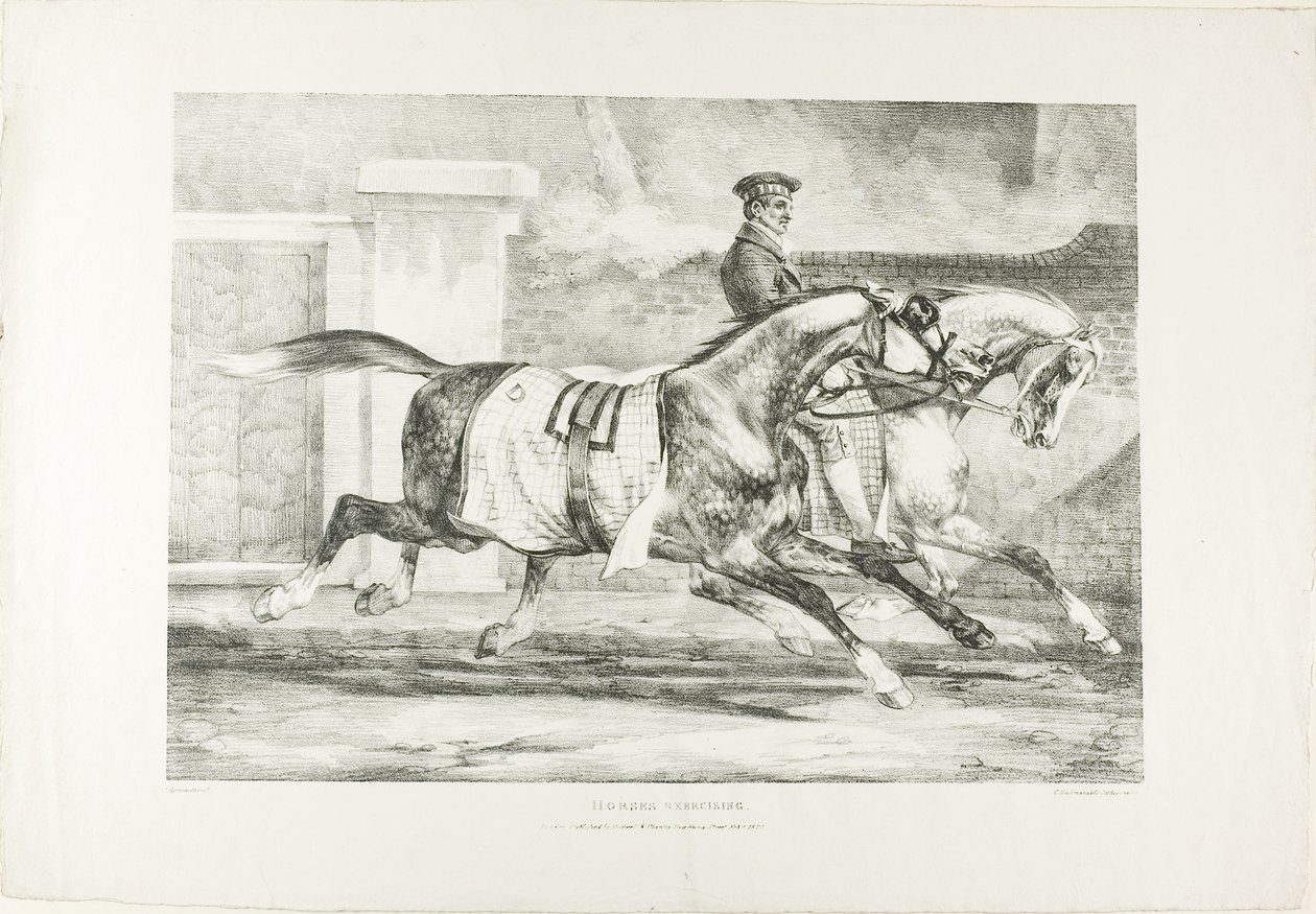 Ćwiczące konie, płyta 6 z Różne tematy narysowane z życia na kamieniu autorstwa Jean Louis André Théodore Géricault