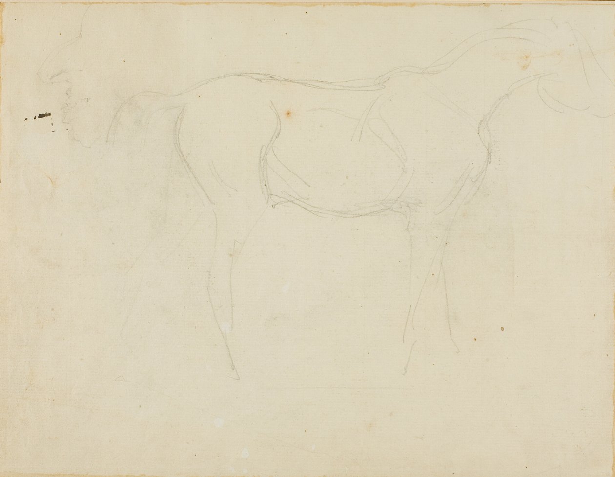 Szkic konia zwróconego w prawo i karykatura z profilu autorstwa Jean Louis André Théodore Géricault