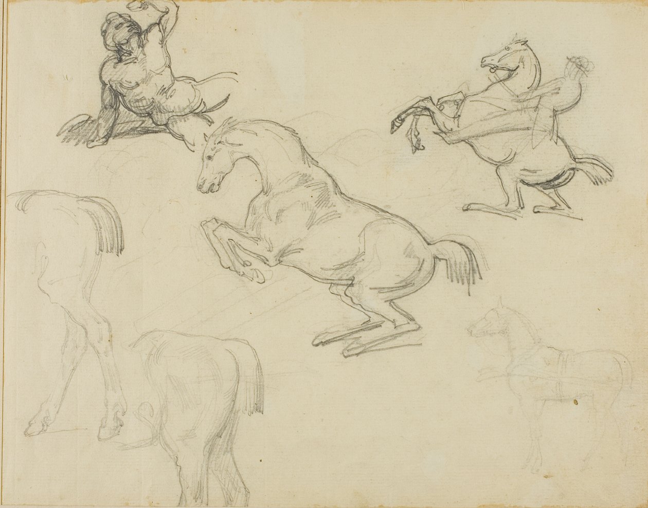 Szkice: Leżący akt, jeździec i różne konie autorstwa Jean Louis André Théodore Géricault