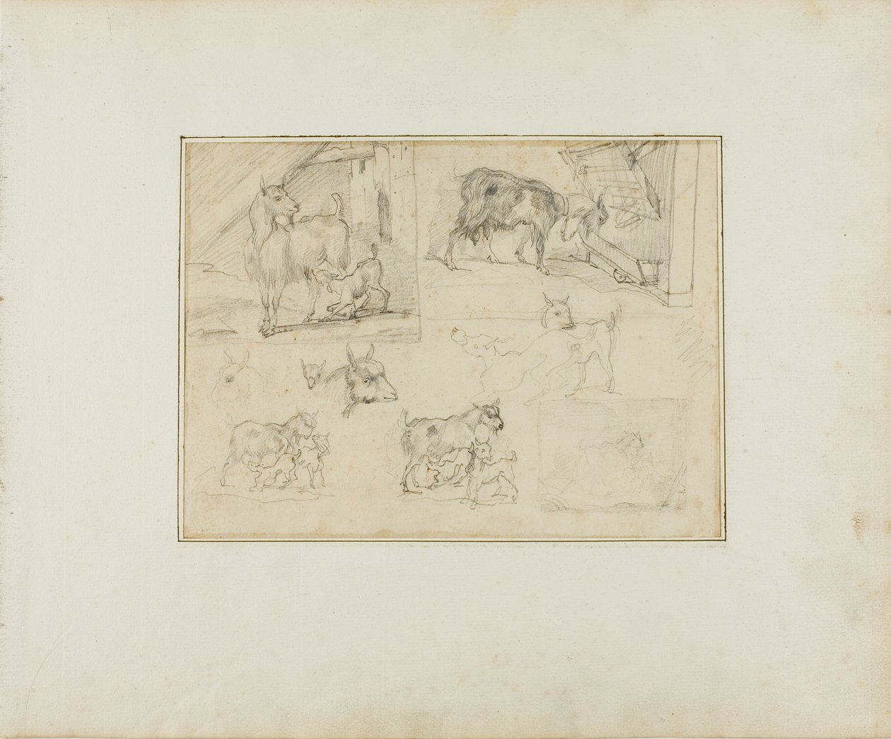 Szkice kóz autorstwa Jean Louis André Théodore Géricault