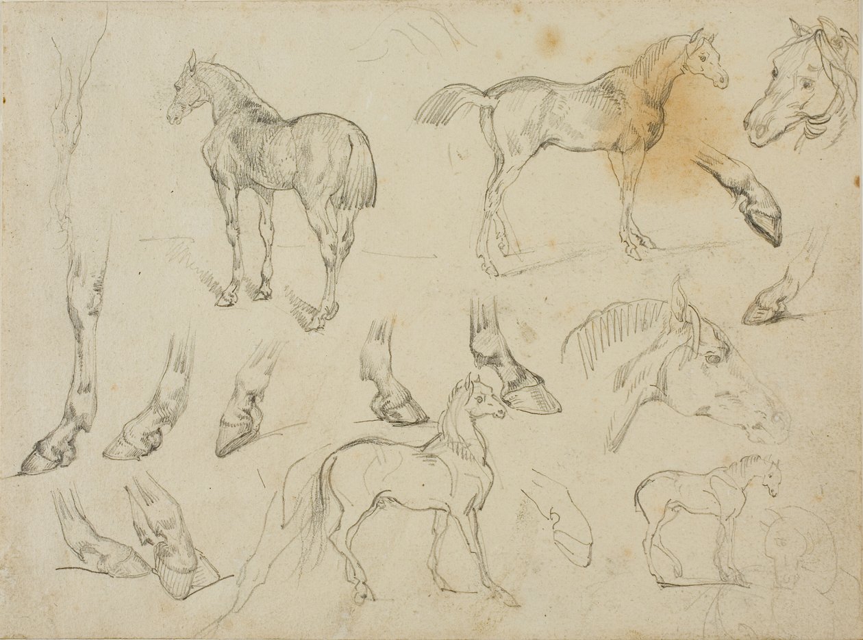 Szkice konia autorstwa Jean Louis André Théodore Géricault