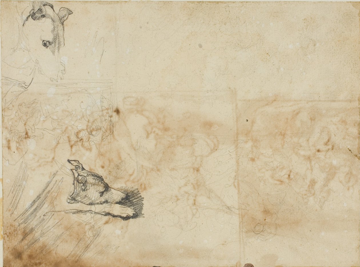 Szkice bitwy jeździeckiej i głowa greyhounda autorstwa Jean Louis André Théodore Géricault