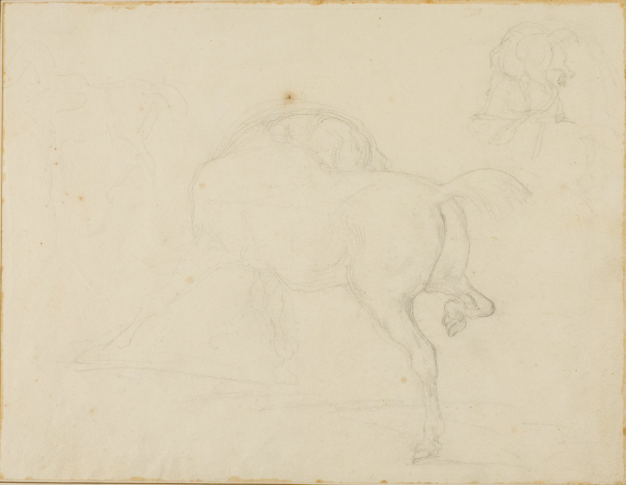 Studium konia obracającego głowę i podnoszącego tylną nogę autorstwa Jean Louis André Théodore Géricault