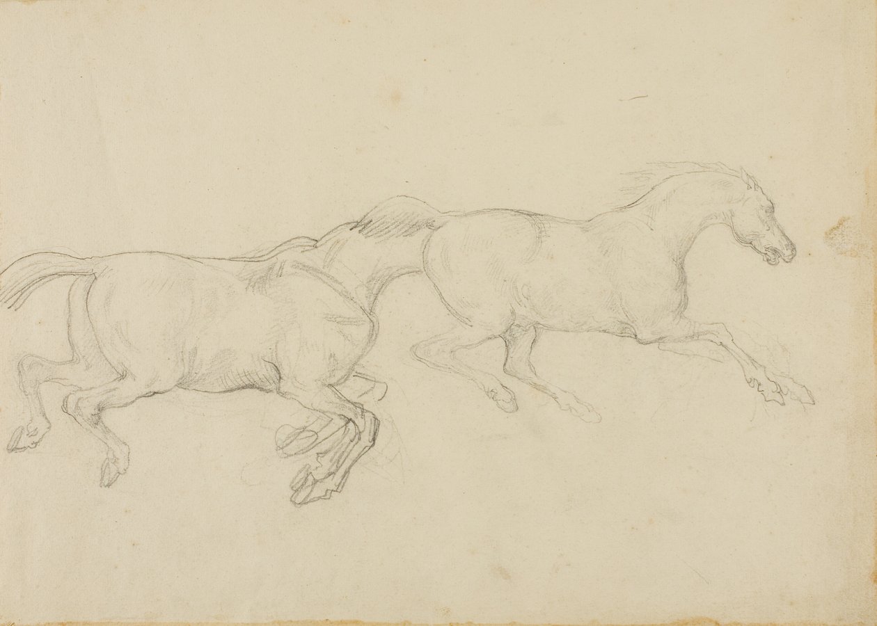 Dwa konie galopujące w prawo autorstwa Jean Louis André Théodore Géricault