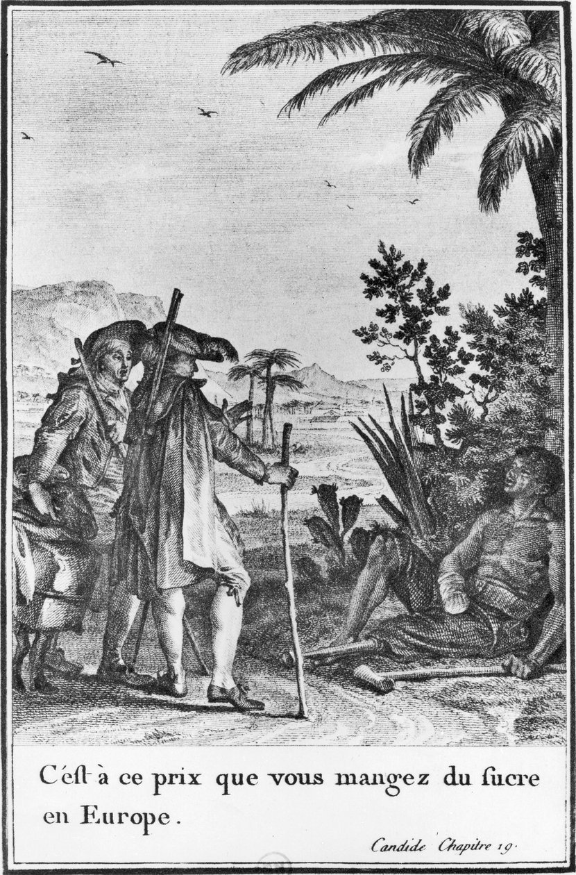 „Za tę cenę jesz cukier w Europie”, ilustracja z rozdziału 19 „Kandyda” Francois Voltaire (1694-1778) rycina Pierre Charles Baquoy (1759-1829) 1787 (rycina) (zdjęcie czarno-białe) autorstwa Jean Michel the Younger (after) Moreau