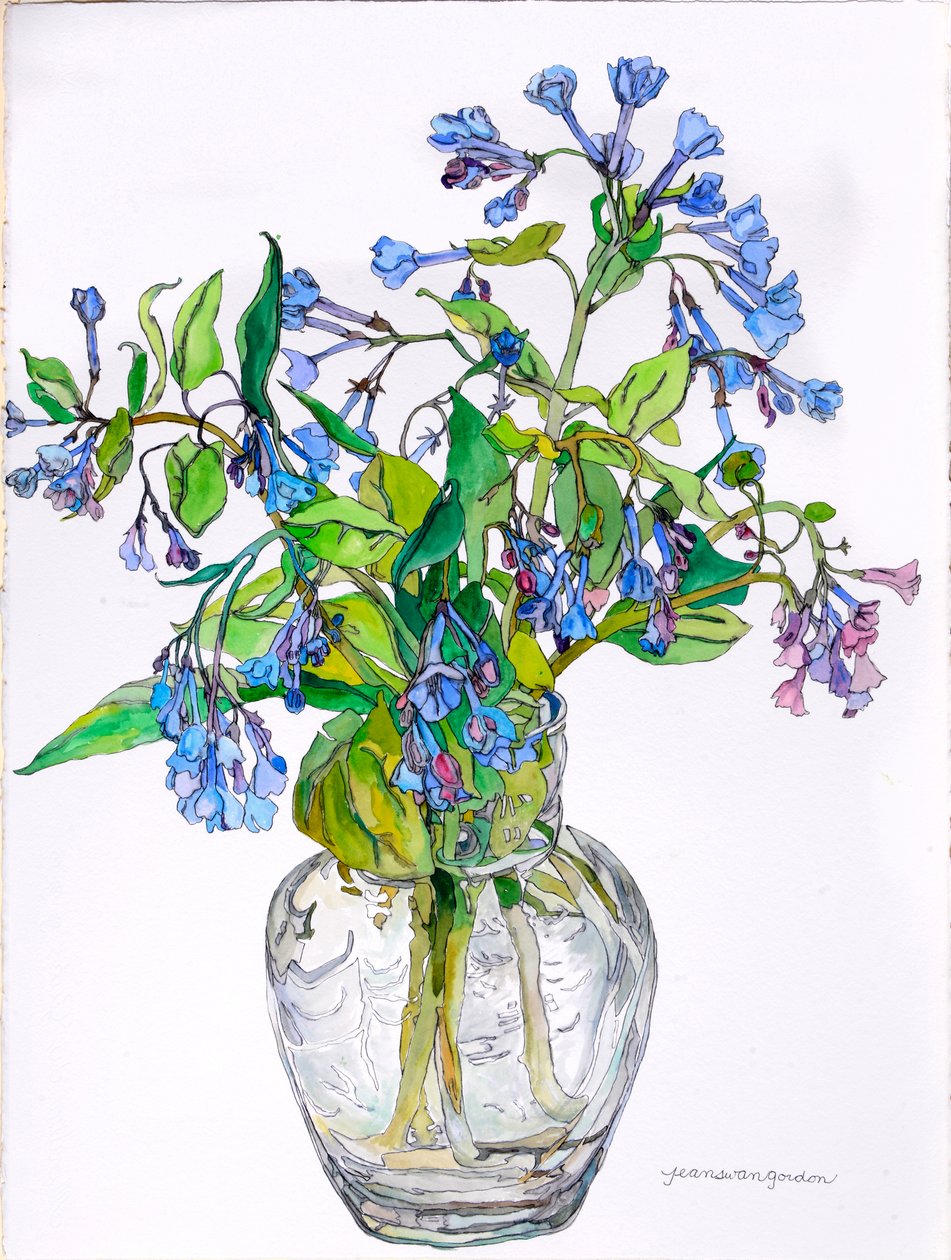 Virginia Blue Bells in Narrow Necked Vase, 2006 (akwarela i tusz na papierze) autorstwa Jean Swan Gordon