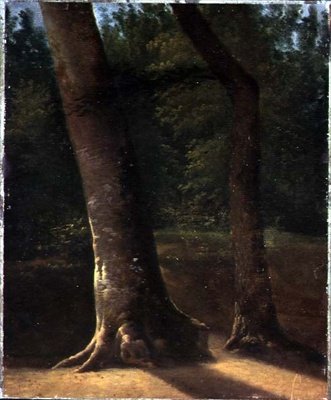 Studium drzew, ok. 1815 (olej na papierze) autorstwa Jean Victor (attr. to) Bertin