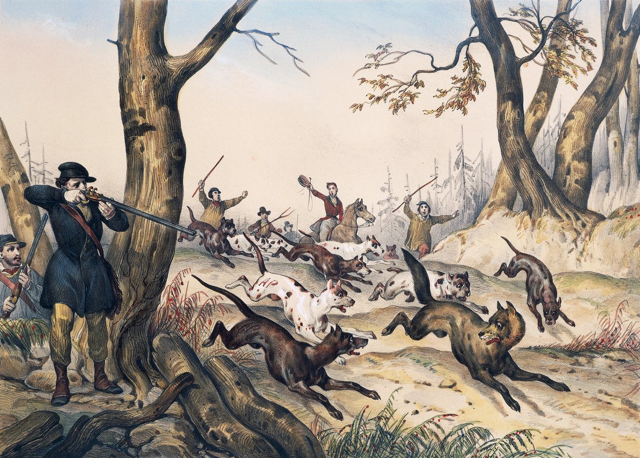 Polowanie na wilka, rycina Jean Victor Adam (1801-1866) autorstwa Jean Victor Adam