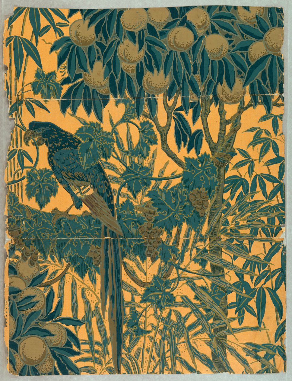 Ściana boczna, Ara, 1908 autorstwa Jeffrey