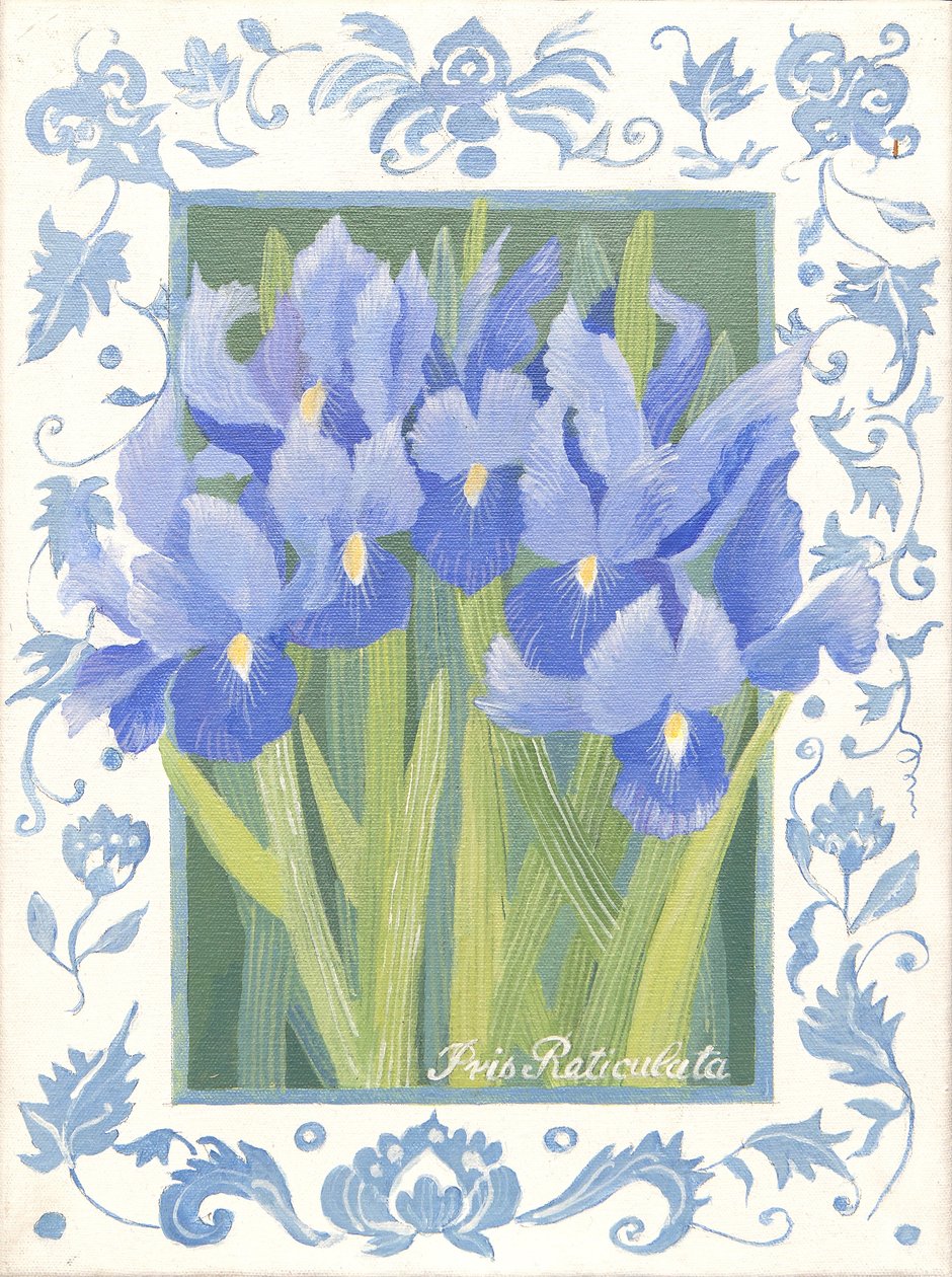 Blue Iris (akryl) autorstwa Jennifer Abbott