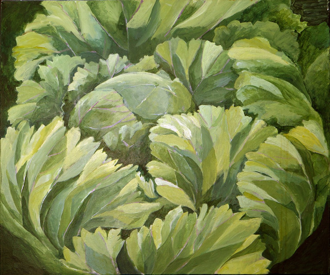 Kapusta, 2013 (akryl na płótnie) autorstwa Jennifer Abbott