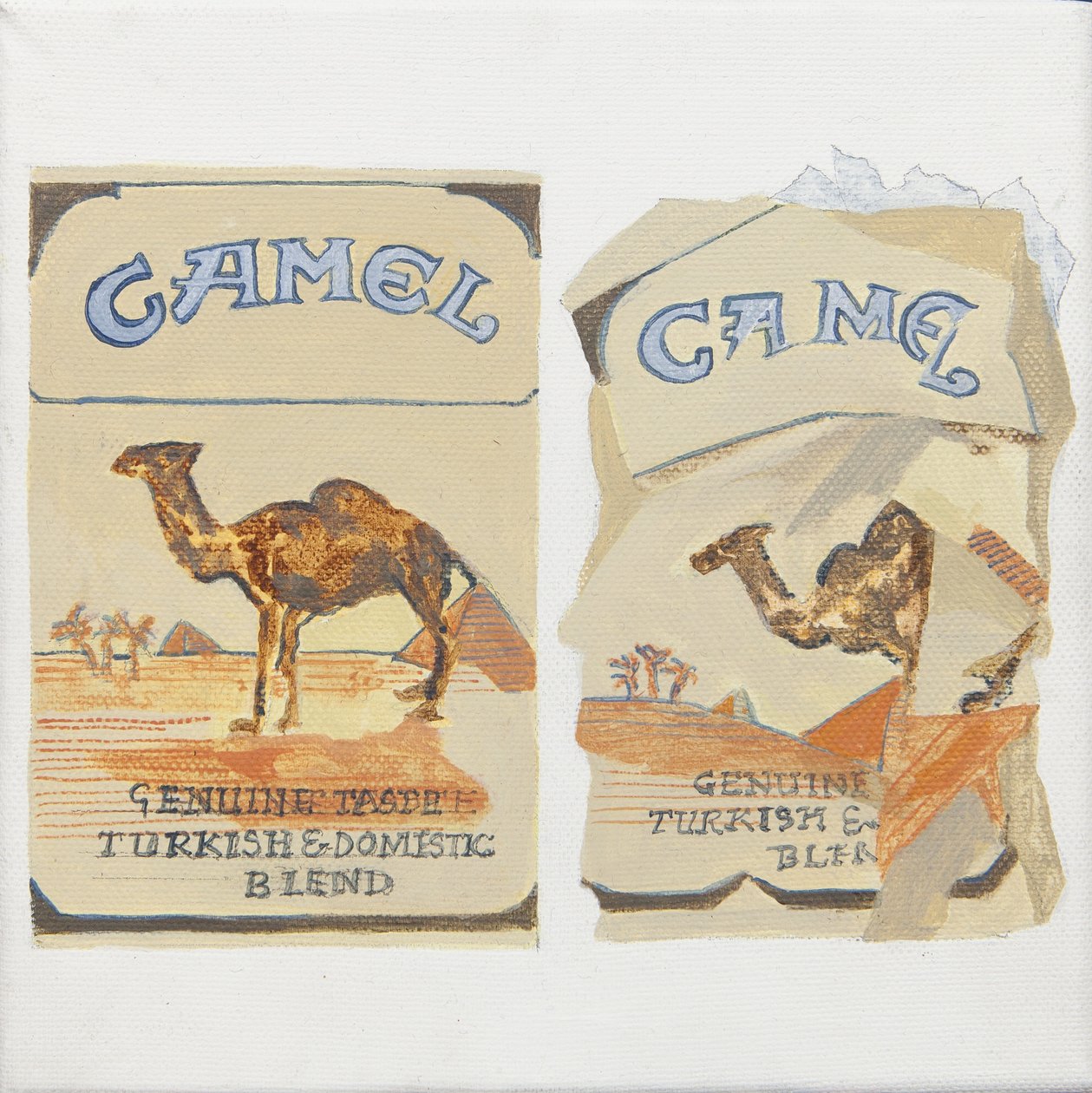 Paczki papierosów Camel autorstwa Jennifer Abbott