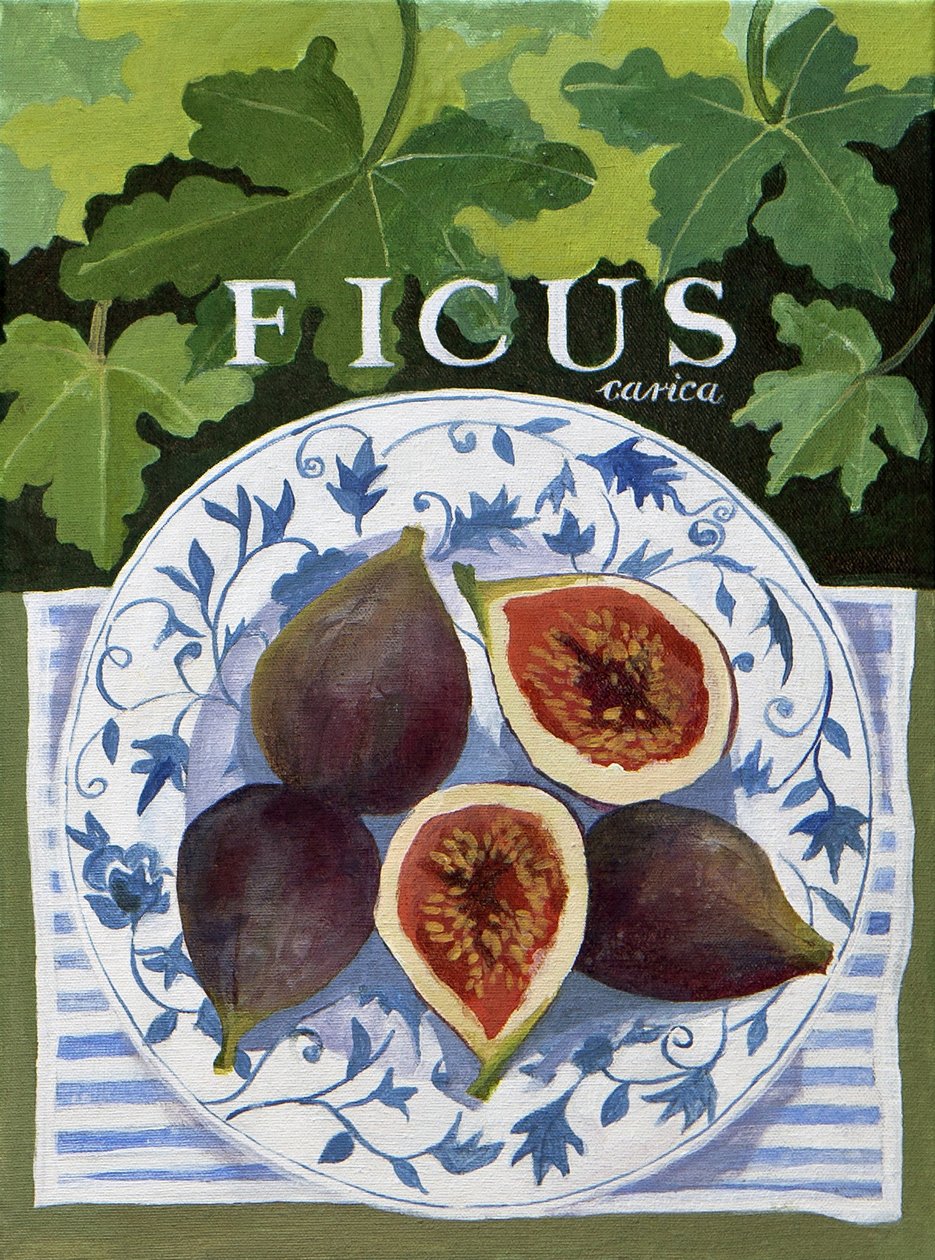 Fieus (figi), 2014 (akryl na płótnie) autorstwa Jennifer Abbott