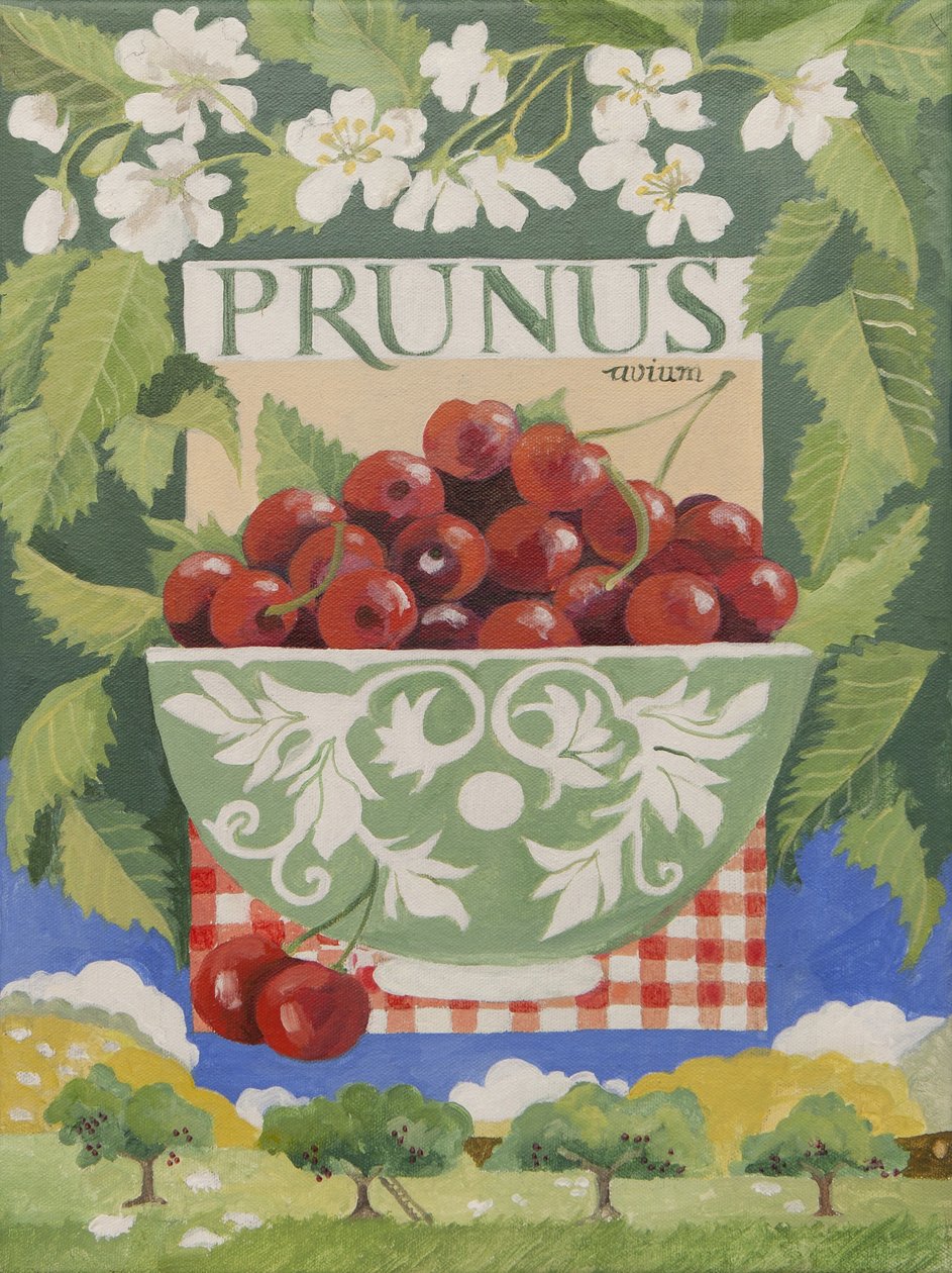 Prunus avium (akryl) autorstwa Jennifer Abbott