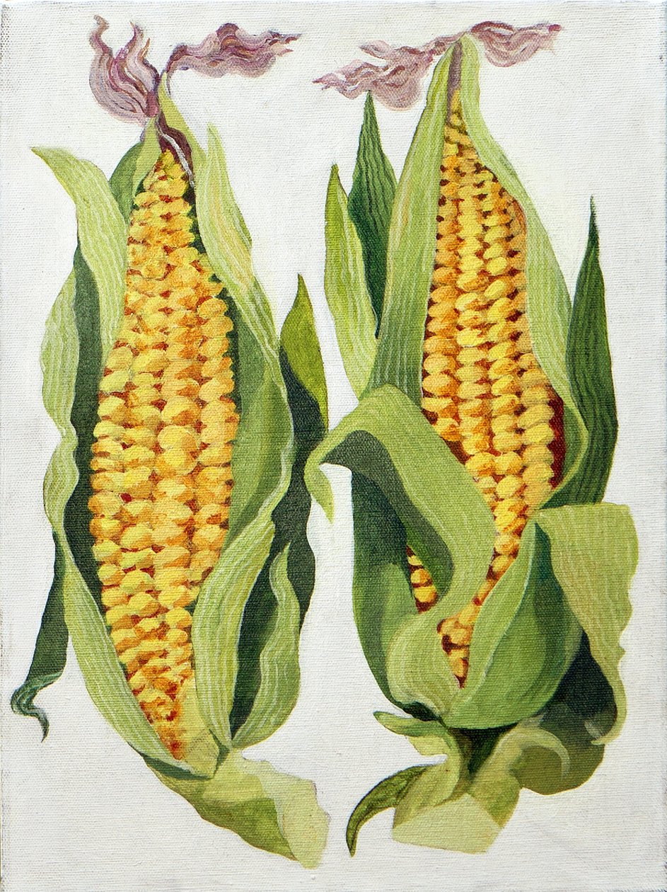 Sweetcorn, 2013 (akryl na płótnie) autorstwa Jennifer Abbott