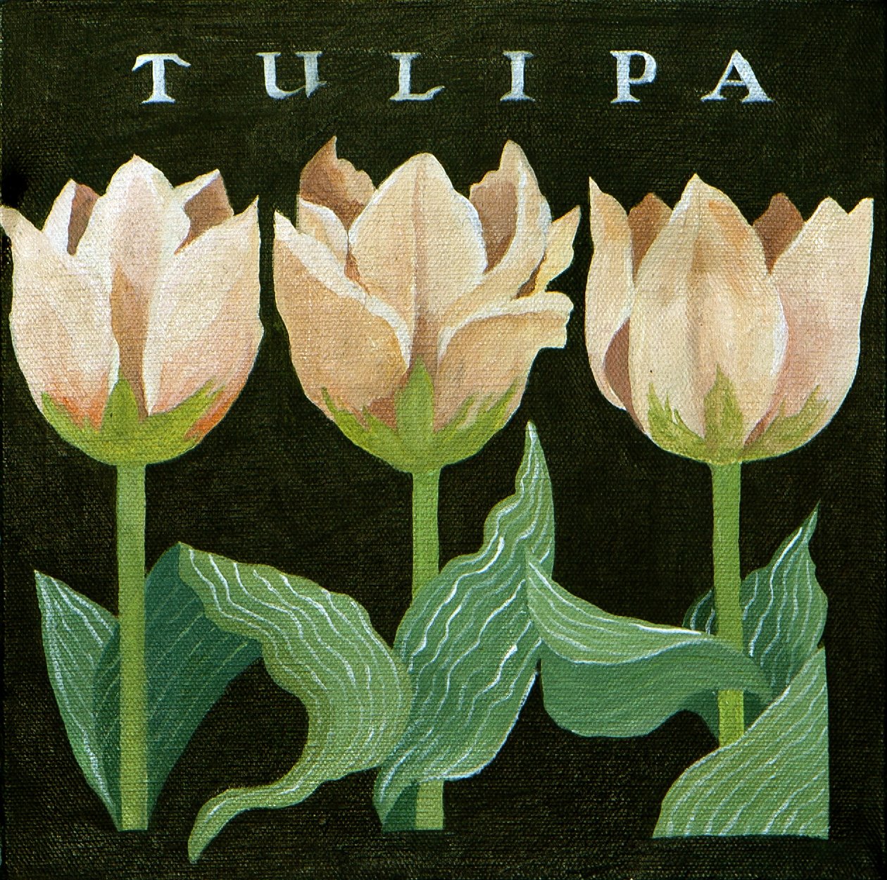 Tulipany, 2013 (akryl na płótnie) autorstwa Jennifer Abbott