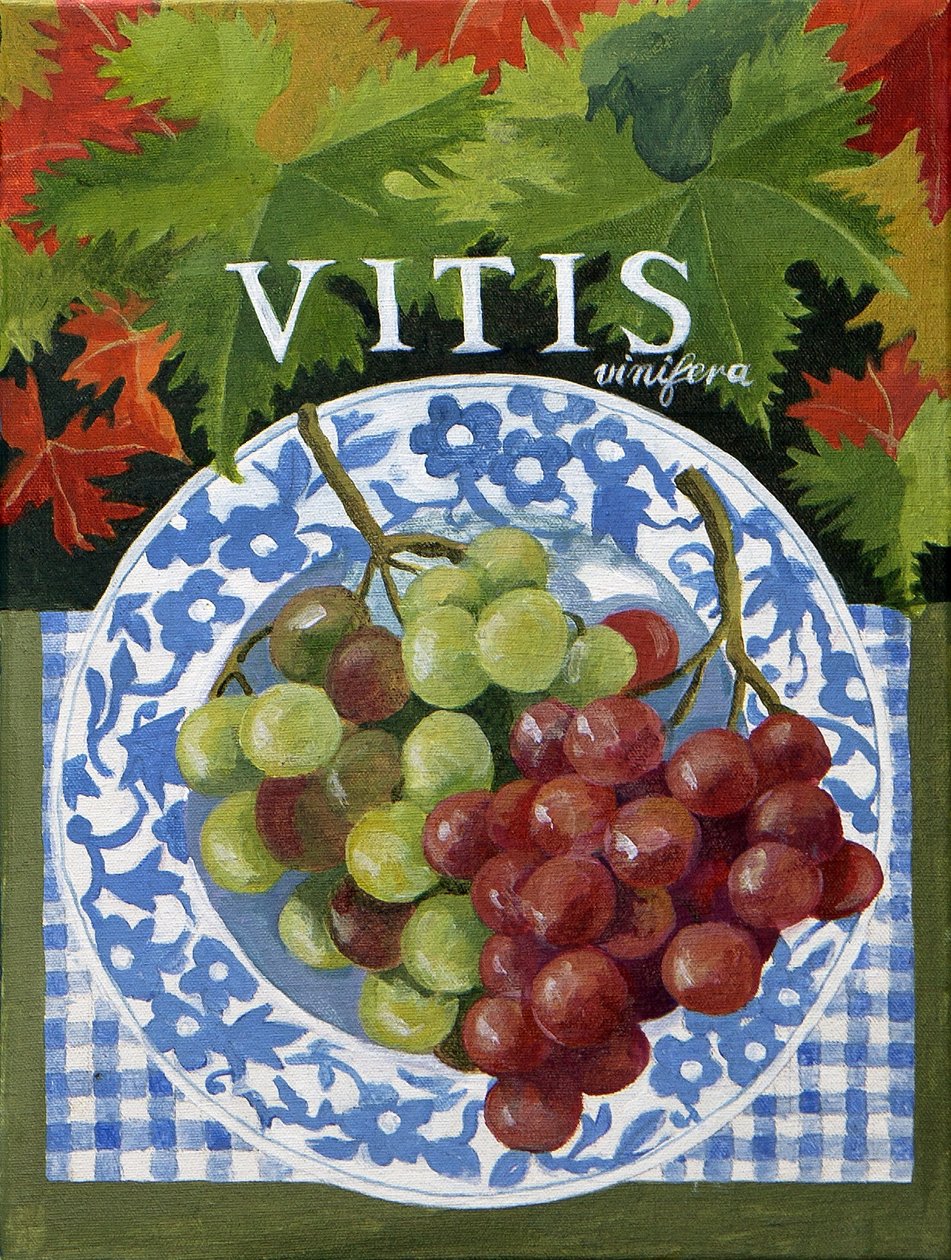 Vitus (winogrona), 2014 (akryl na płótnie) autorstwa Jennifer Abbott
