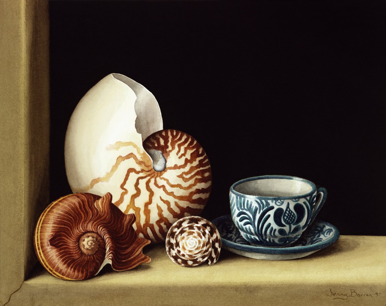 Martwa natura z Nautilusem, 1998 (wc na papierze) autorstwa Jenny Barron