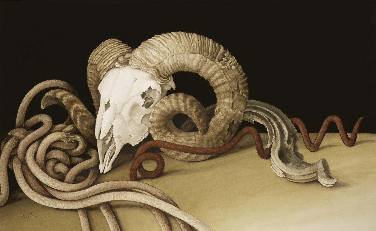 Vanitas, 2004 (wc na papierze) autorstwa Jenny Barron