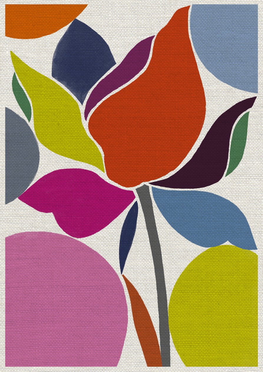Drukowany Tulipan autorstwa Jenny Frean