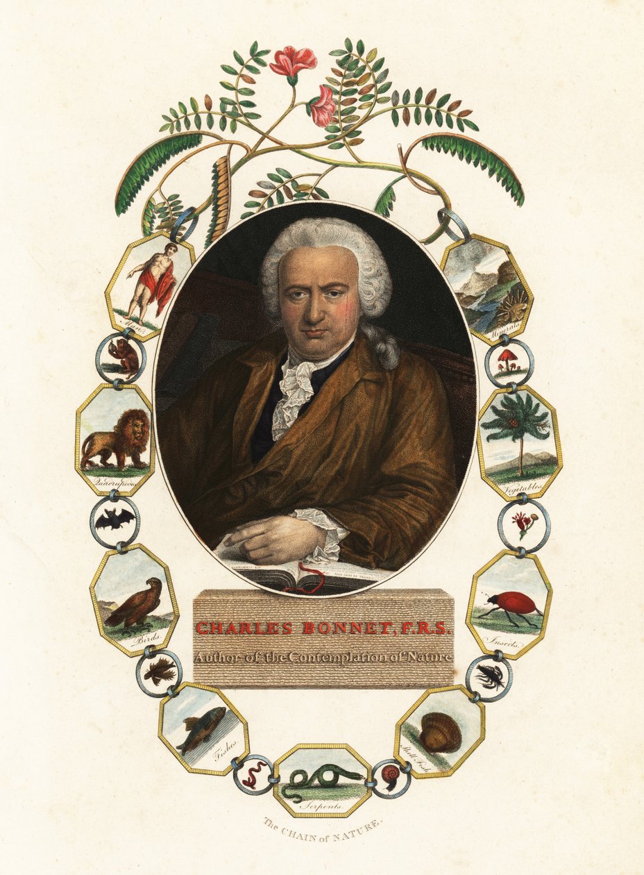 Portret Charlesa Bonneta, przyrodnika genewskiego.1803 (rycina) autorstwa Jens Juel