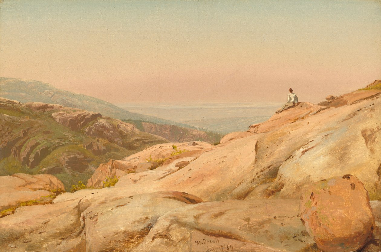 Mount Desert Island, Maine autorstwa Jervis McEntee