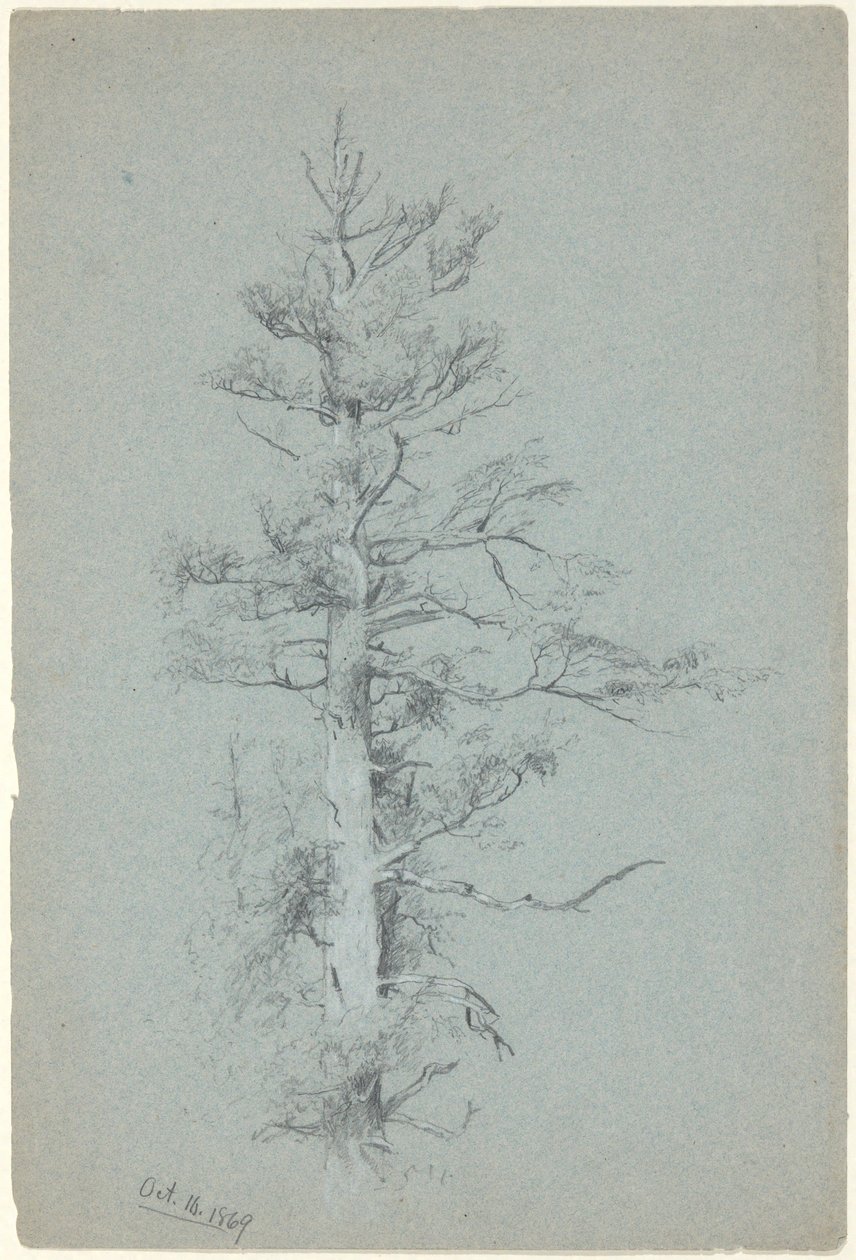 Badanie drzewa autorstwa Jervis McEntee