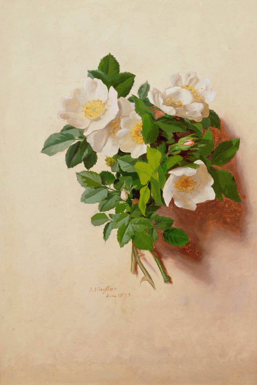 Czerwiec (z serii dwunastu) autorstwa Jessica Hayllar
