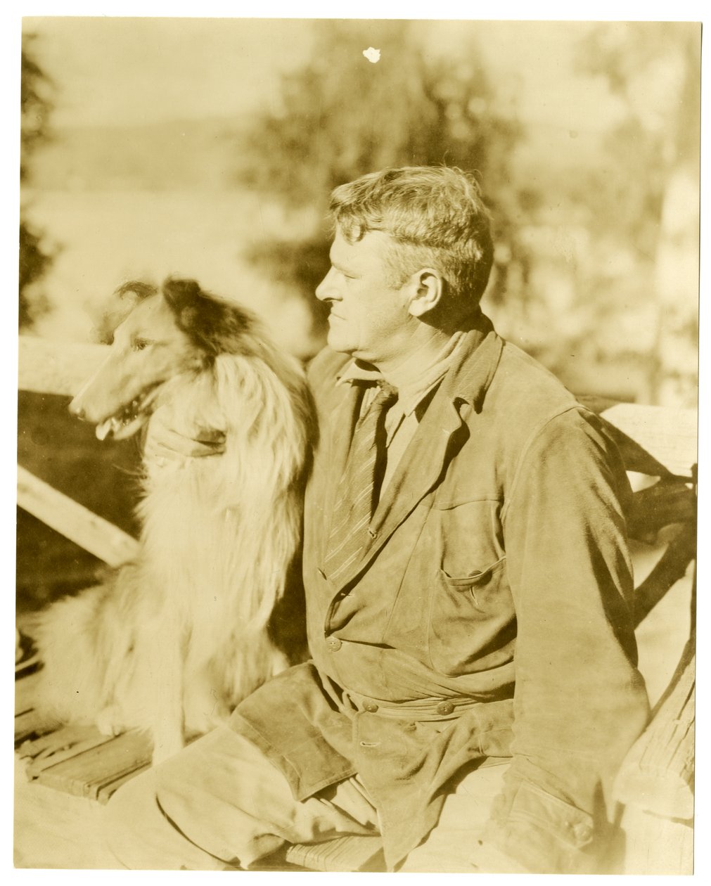 Albert Payson Terhune, pisarz, ok. 1916-28 (zdjęcie żelatynowo-srebrowe) autorstwa Jessie Tarbox Beals