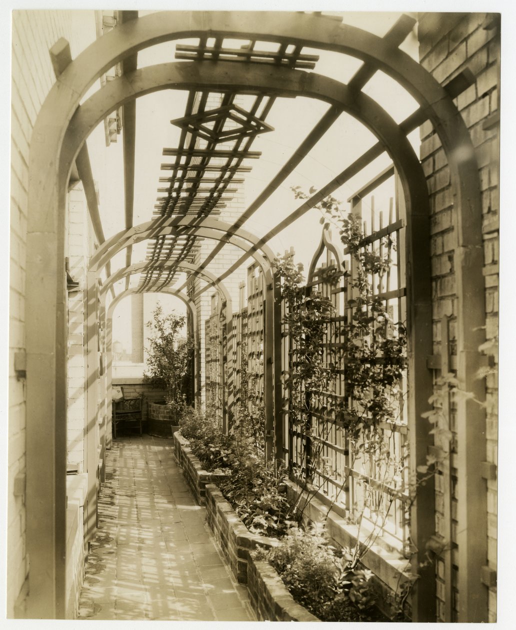 Ogród pani Reginy Jais, ok. 1936-37 (fotografia żelatynowa srebrna) autorstwa Jessie Tarbox Beals
