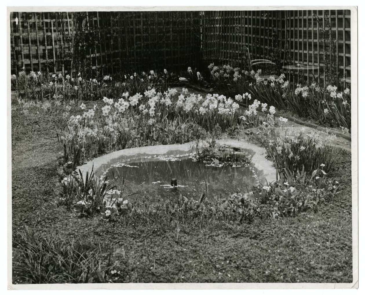 Garden of Mr & Mrs Wm H Wells 265 W 11th St, Nowy Jork, USA autorstwa Jessie Tarbox Beals