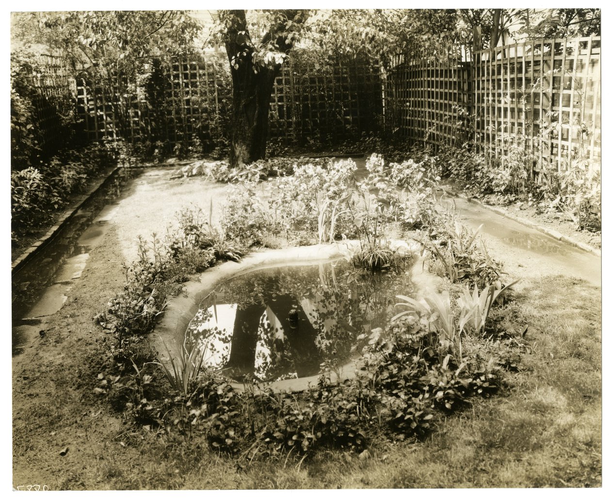 Garden of Mrs W H Wells 265 W 11th, Greenwich Village, Nowy Jork, USA, ok. 1936-37 (zdjęcie żelatynowo-srebrowe) autorstwa Jessie Tarbox Beals