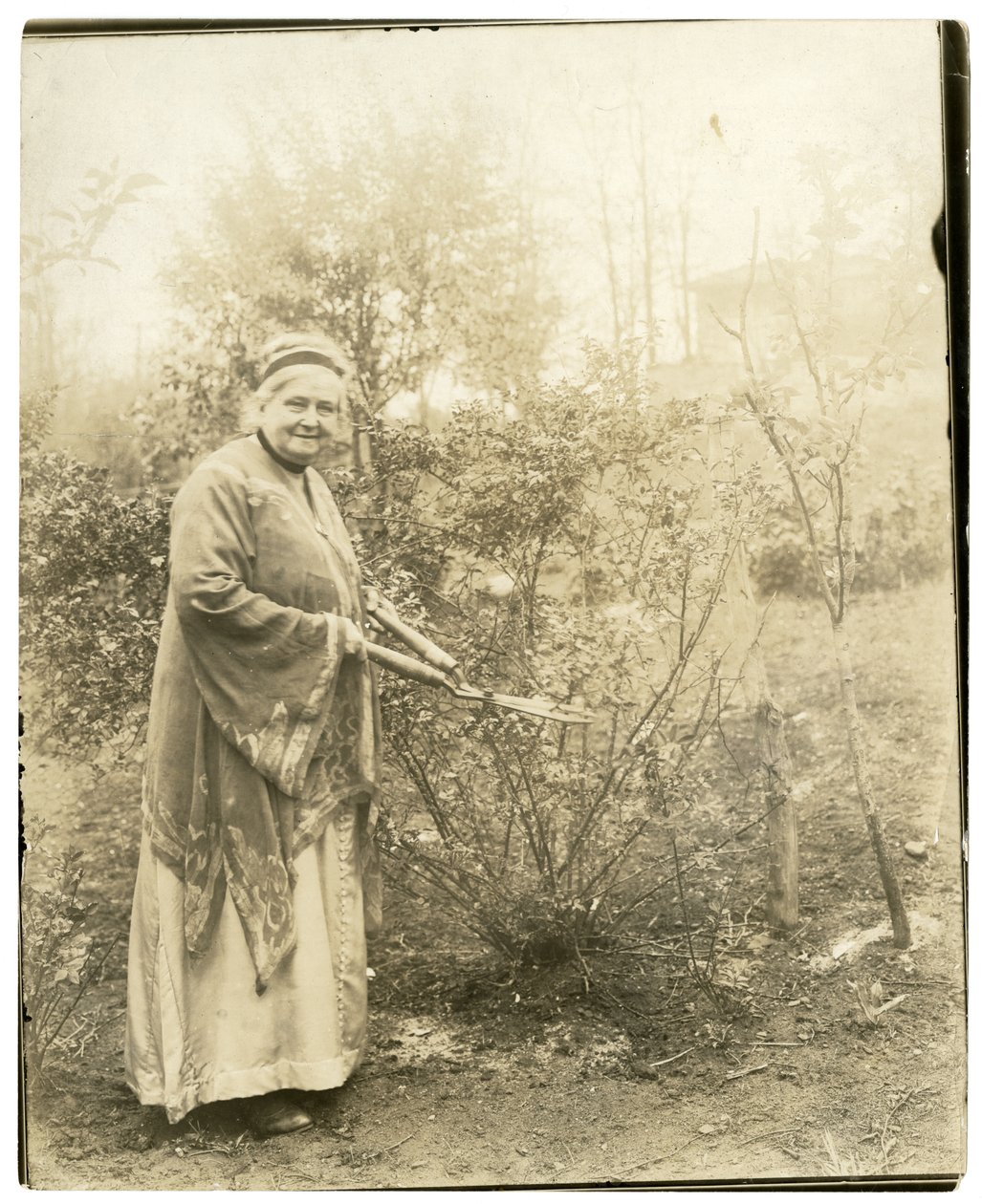 Pani Alzirc Hewitt Wade - 88 lat - w ogrodzie Ossining, NY, ok. 1905-28 (zdjęcie żelatynowo-srebrowe) autorstwa Jessie Tarbox Beals