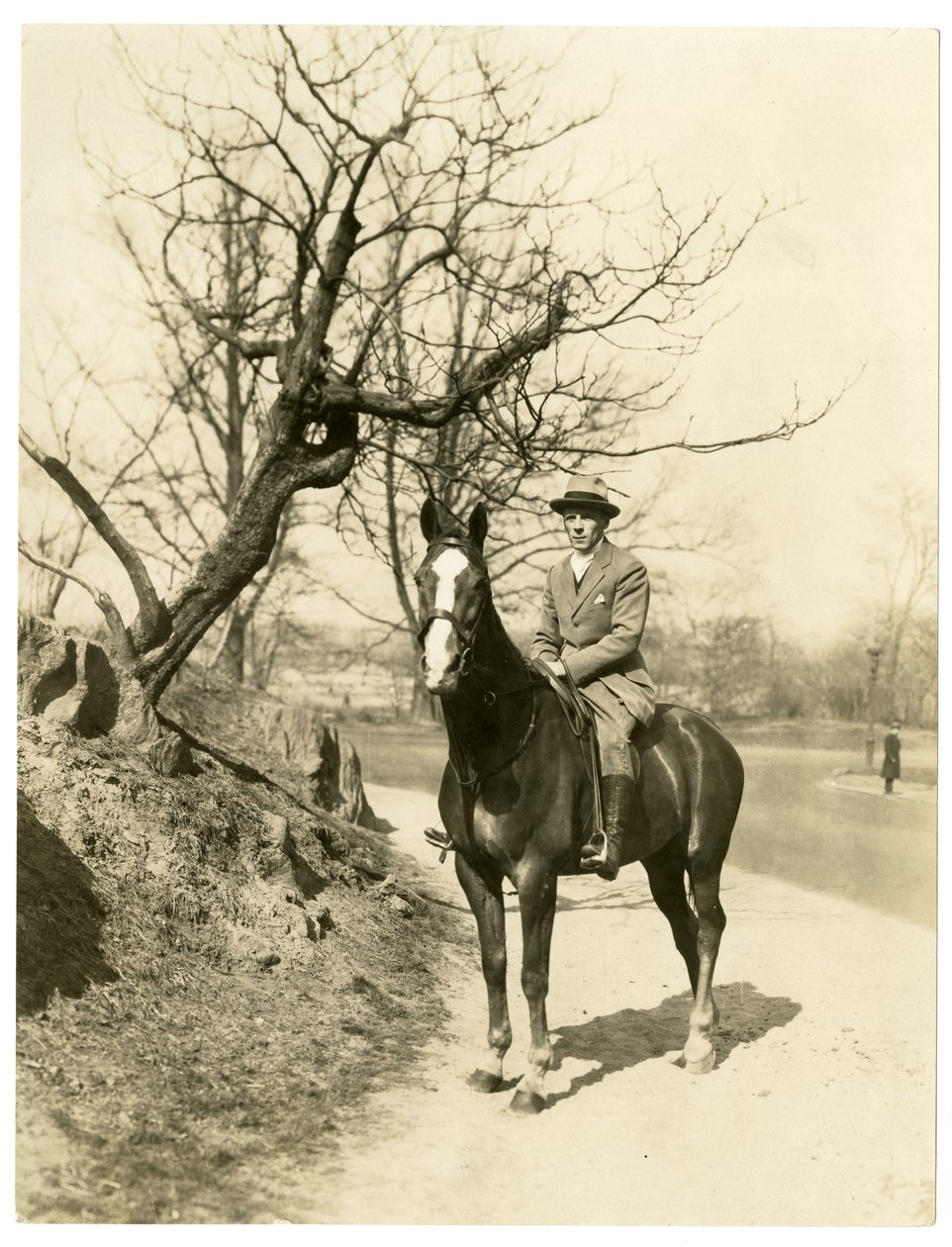 Roland Young, ok. 1905-27 (zdjęcie żelatynowo-srebrowe) autorstwa Jessie Tarbox Beals