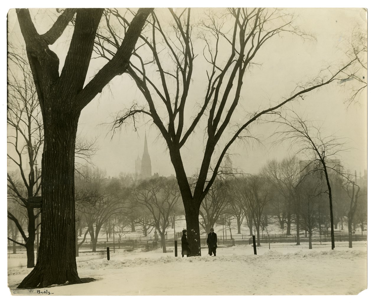 The Common, Boston, USA, ok.1902-10 (zdjęcie żelatynowo-srebrowe) autorstwa Jessie Tarbox Beals